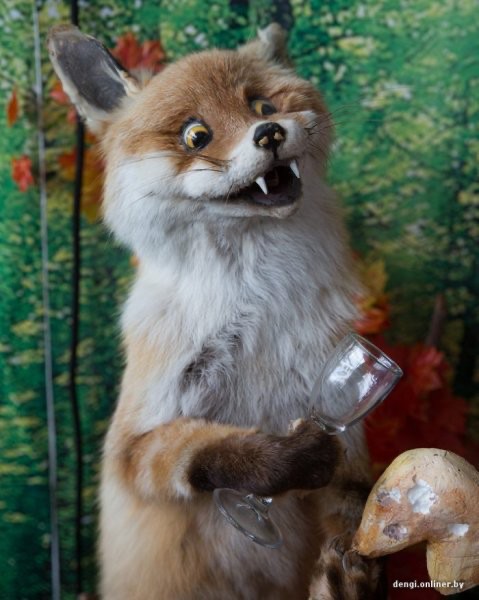 Create meme: Fox stuffed animal , a stuffed Fox , Fox 