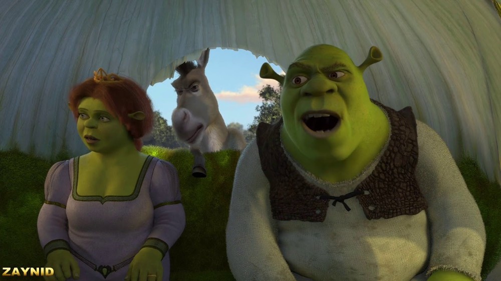 Create meme: The donkey Shrek has already arrived, We've already arrived donkey from Shrek, Shrek 2 has already arrived