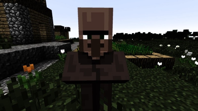 Create meme: a resident of the Main, minecraft villager, a resident in minecraft