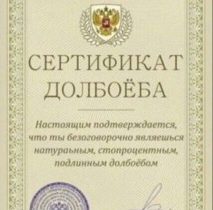 Create meme: evidence dolbaeba, certificate dolbaeba, certificate dolbaeb