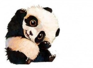 Create meme: pattern Panda, pandochka, kung fu panda
