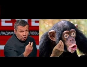 Create meme: female chimpanzee, chimpanzees, monkey with lips