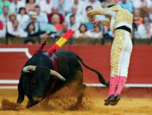 Create meme: Spanish bullfight, bull, toreador