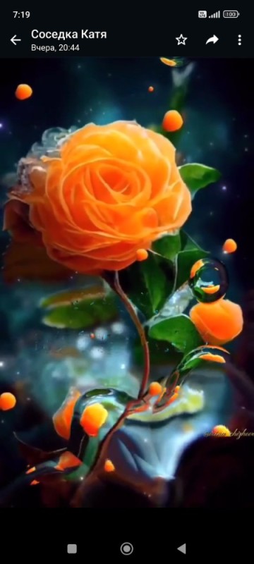 Create meme: flowers beautiful roses, orange roses, the magic rose