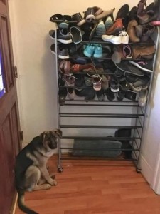 Create meme: shoe rack, What kind of people