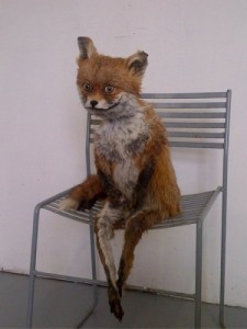 Create meme: fox, taxidermy, stuffed