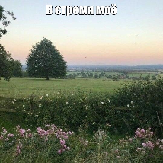 Create meme: aesthetic landscapes, aesthetics of nature summer, landscape summer