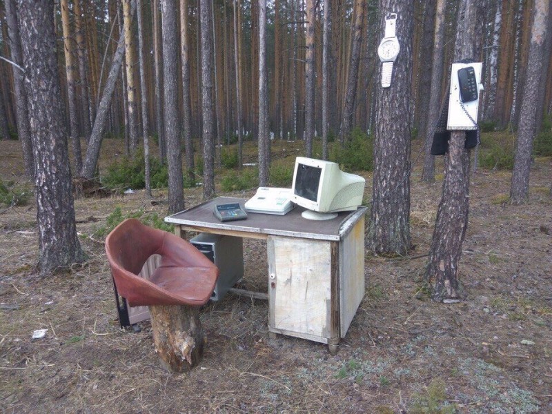 Create meme: Gerasimova Darya Andreevna, a funny workplace, A computer in the forest