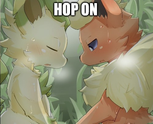 Create meme: eevee , pokemon jolteon, eevee pokemon