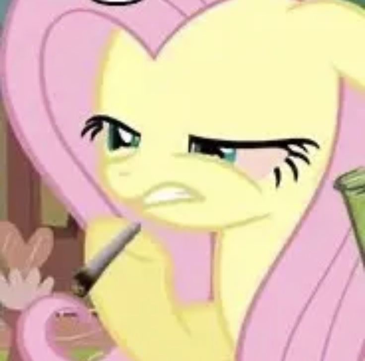 Create meme: fluttershy is crying, fluttershy frames, fluttershy pony 