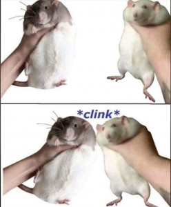 Create meme: rats home, the rat is cute, pet rat