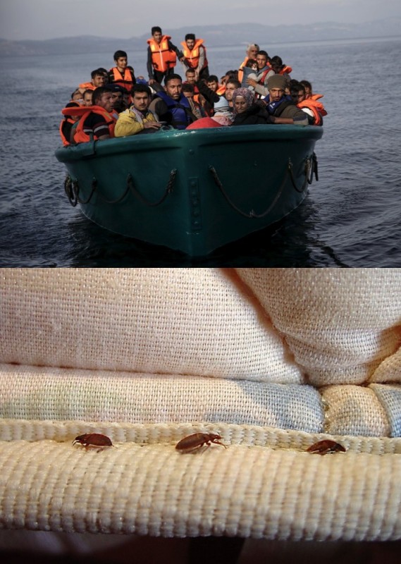 Create meme: refugees on the ark _ 2012, refugees on boats, a lot of people in the boat