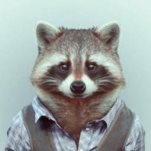 Create meme: sly raccoon, king Arthur, raccoons