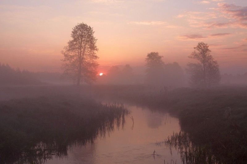 Create meme: At dawn, foggy morning fet, There is fog over the river