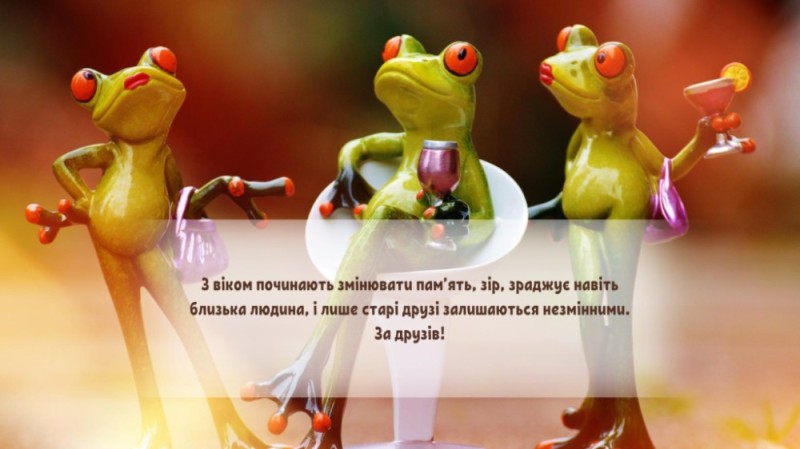 Create meme: frogs, funny frog, frog