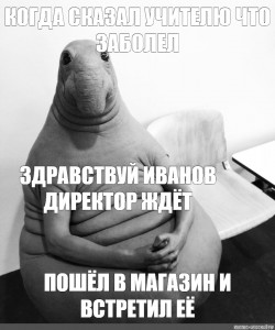 Директор ждет