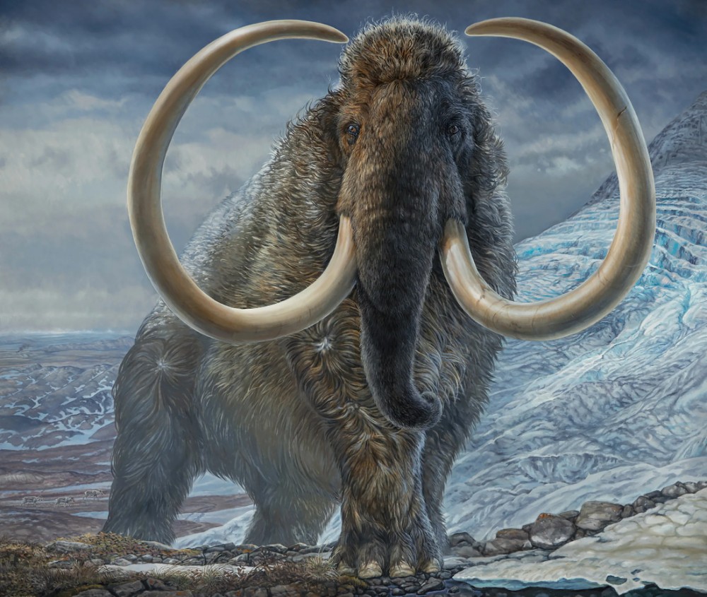 Create meme: mamontov got bored, woolly mammoth , mammoth