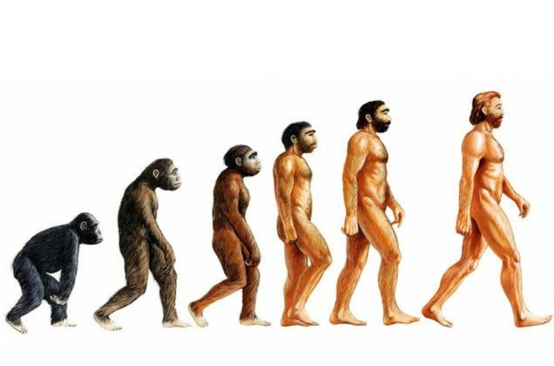 Создать мем: эволюция дарвина, теория эволюции дарвина, эволюция человека от обезьяны