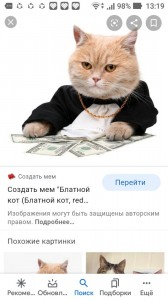 Create meme: cats, meme thug cat, Text