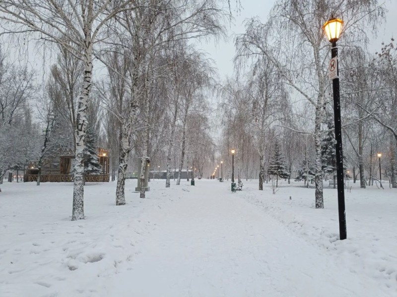 Create meme: Kirov Winter Square, winter park, nature 