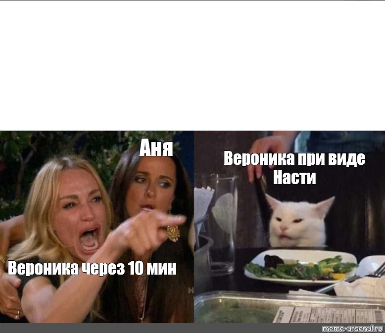 Покажи фотку кроме. Аня Мем с котом. Мемы про Веронику.