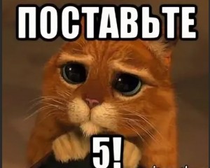 Поставьте 5 за презентацию