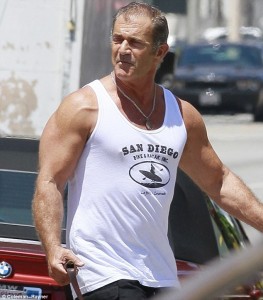 Create meme: Mel Gibson