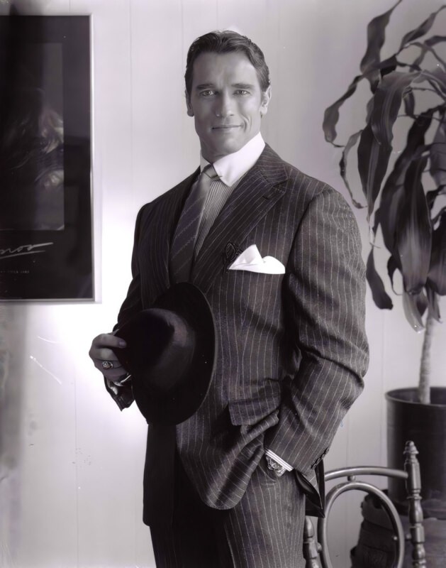 Create meme: the young Schwarzenegger, Arnold Schwarzenegger in a suit, Patrick Schwarzenegger