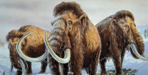Create meme: the mammoth and saber-toothed tiger, saber tooth and mammoth, woolly mammoth photo