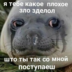 Создать мем: meme, meme generator, мемы про тюленей