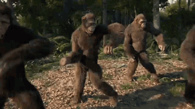 Создать мем: смешные обезьяны, шимпанзе, обезьяны в джунглях
