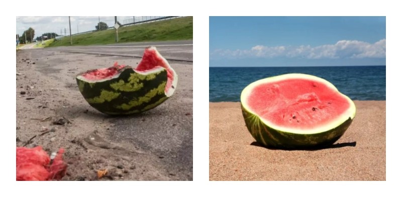 Create meme: watermelon on the beach, watermelon and melon, watermelon by the sea