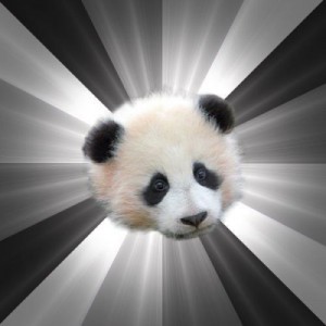 Create meme: memes, panda, Panda