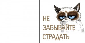 Create meme: unhappy cat, text, sad cat