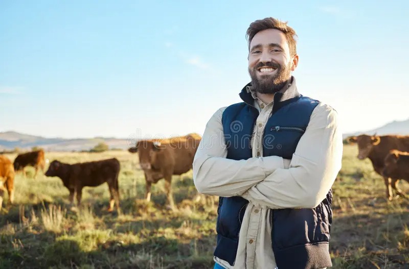 Create meme: farmer in the field, farmer , cows in the field