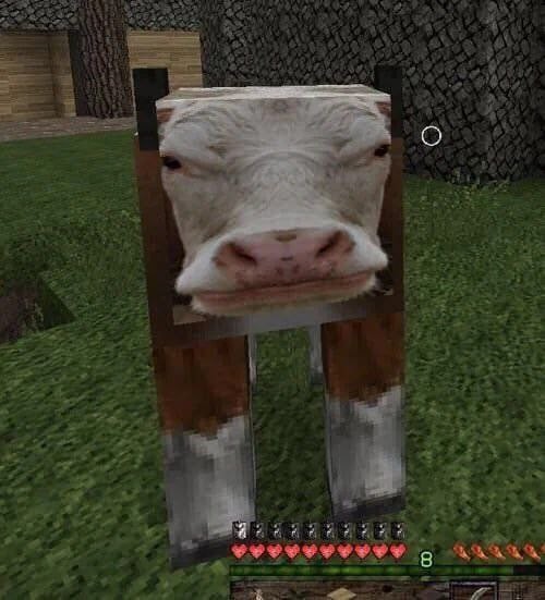 Create meme: The cow from minecraft, cow in minecraft, lamb minecraft