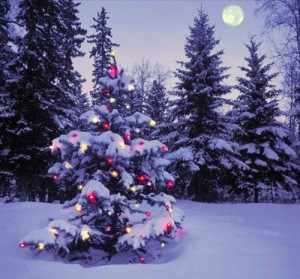 Создать мем: года, новый год, елка 3d, ель наряженная в лесу зимой фото