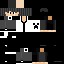 Create meme: skins, minecraft skins, skins for lane