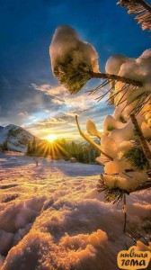 Create meme: winter nature, winter sun