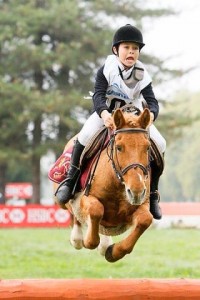 Create meme: show jumping, a horse, Lopatka