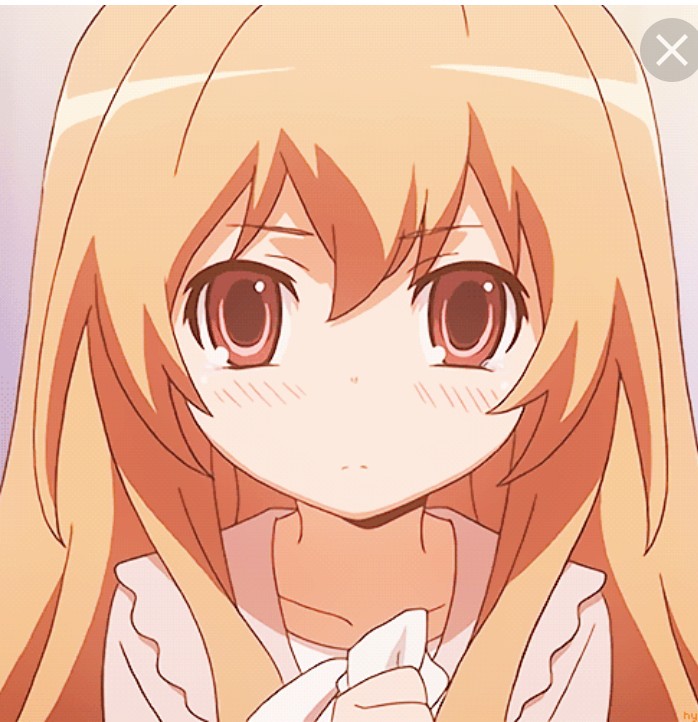 Create meme: taiga Aisaka , toradora!, toradora anime