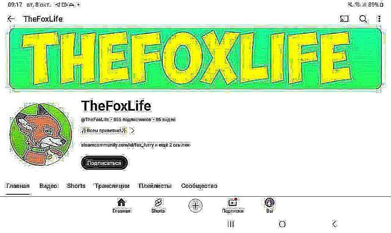 Create meme: fox life, fox fox, fox 