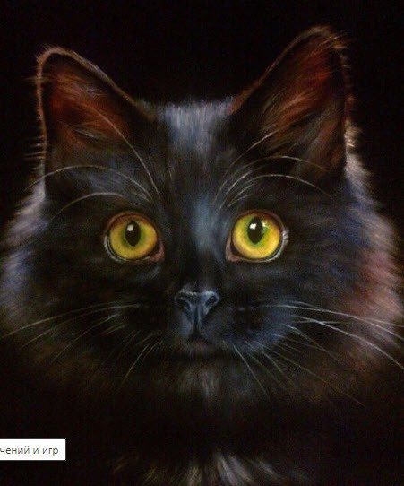 Create meme: black cat , black cat painting, black cat art