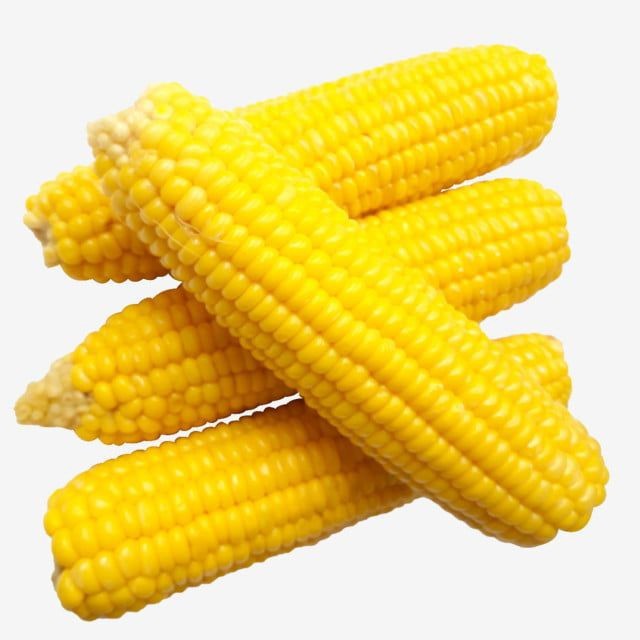 Create meme: boiled corn, boiled corn vector, corn on the cob