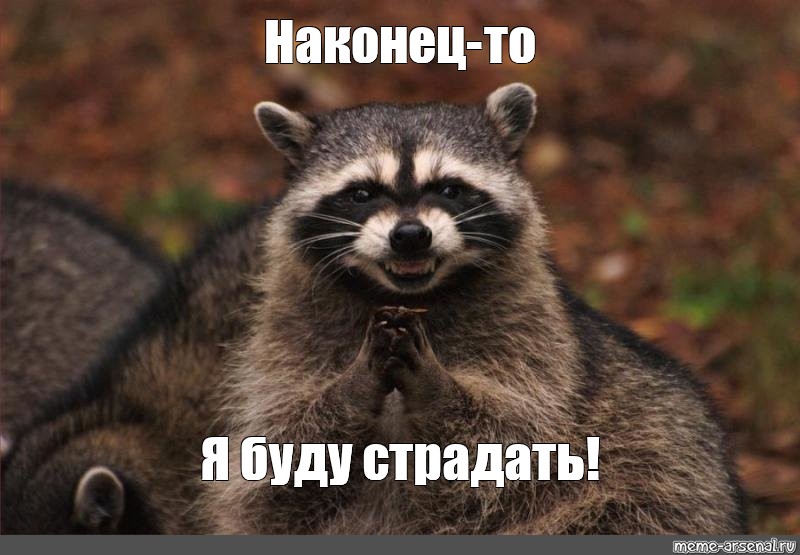 Ай сегодня. Енотик наконец то. Коварный енот Мем. Ехидный енот Мем. Злой енот Мем.