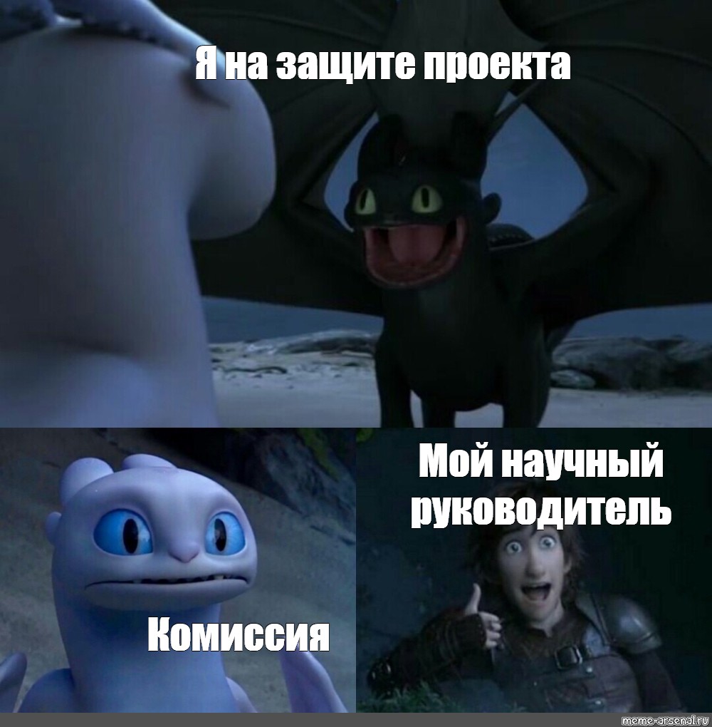 Научный руководитель проекта это