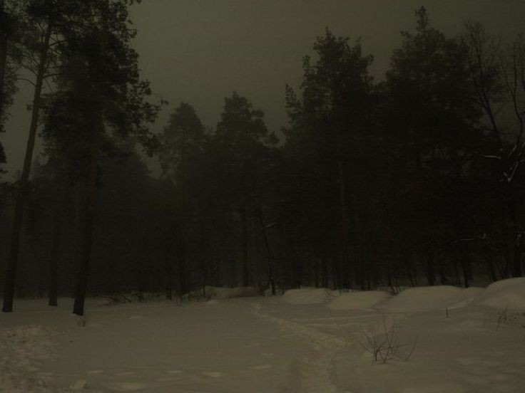 Create meme: dark photos, forest fog, dark forest