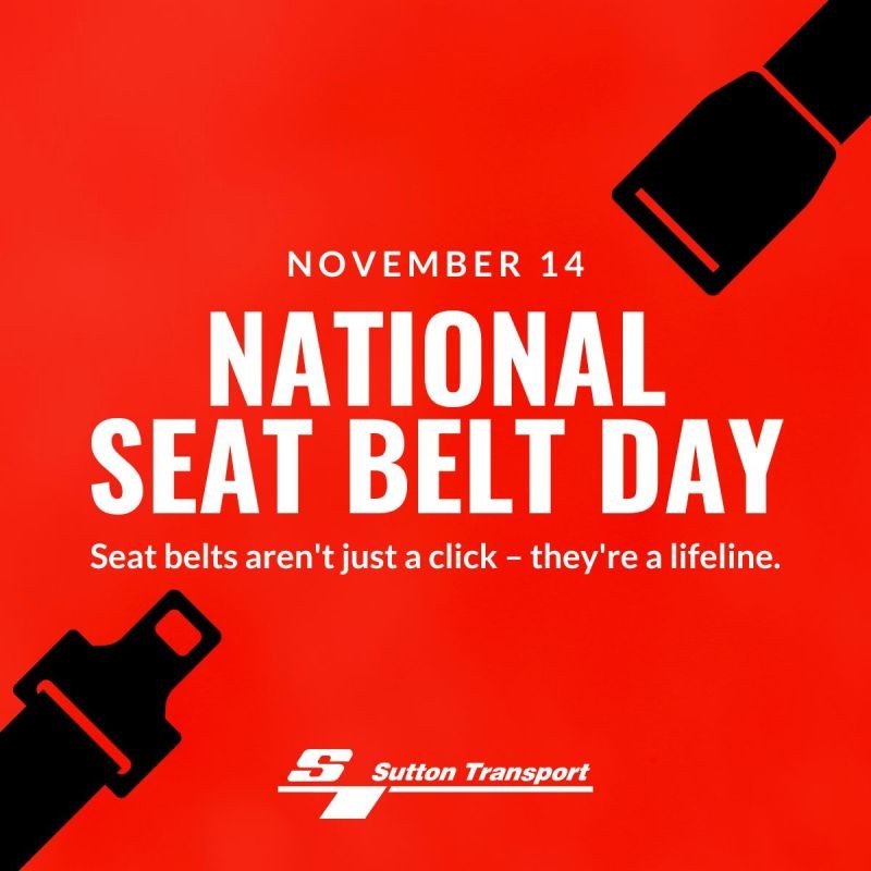 Create meme: seat belt , belt , fasten your seat belt