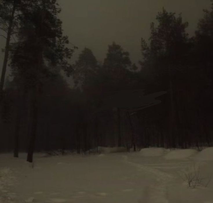 Создать мем: лес туман, ночью в лесу, пейзаж мрачный