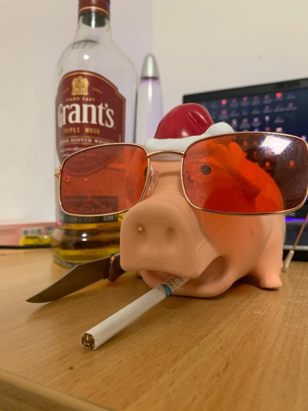 Create meme: pig with a cigarette, piglet and glasses, pig 